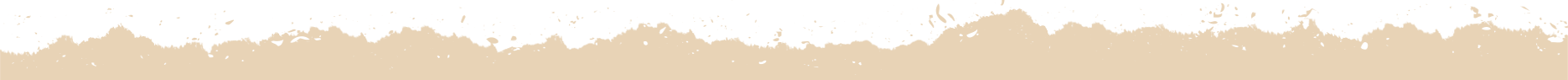 Contact Bg