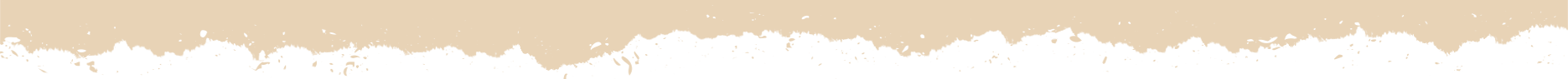 Contact Bg